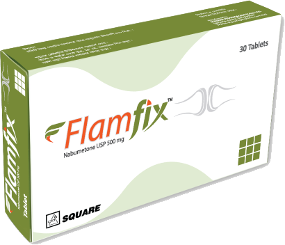 Flamfix 500